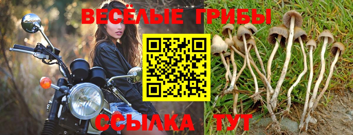 Псилоцибиновые грибы Psilocybe  Вход с VPN  как найти наркотики  Белорецк 