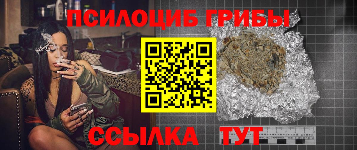 Галлюциногенные грибы Psilocybe Белорецк